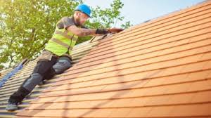Roof Coating Services in Holly Springs, GA