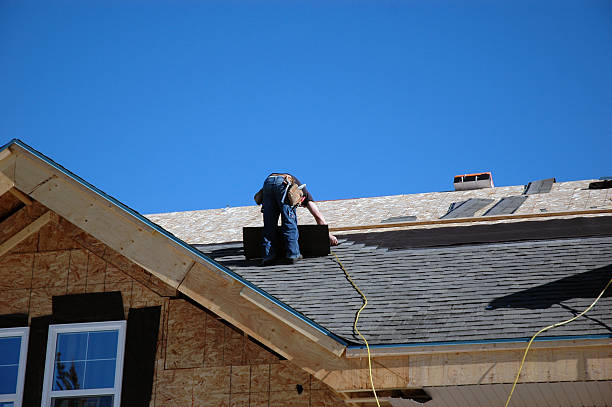 Best Roof Moss and Algae Removal  in Holly Springs, GA