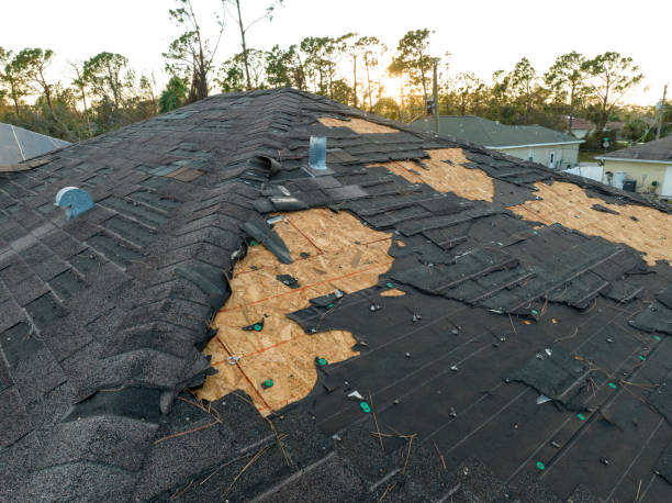Trusted Holly Springs, GA Roofing Service Experts