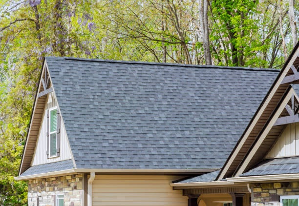 Skylights in Holly Springs, GA