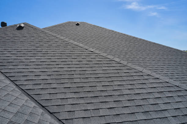 Best Roof Ventilation Installation  in Holly Springs, GA